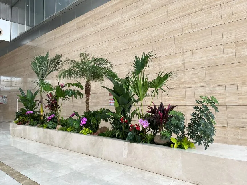 想找前湾好的花木租摆？这里有你要的选择指南><div class=